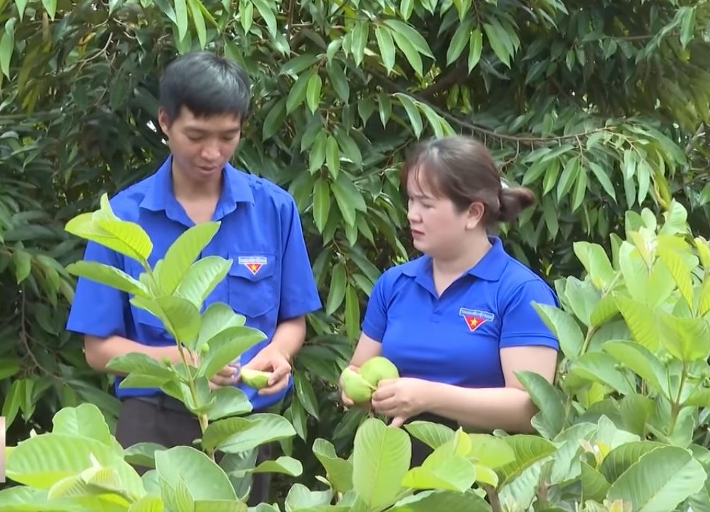 Bí thư Đoàn Thanh niên xã Cư Suê nhiệt huyết với vốn tín dụng chính sách